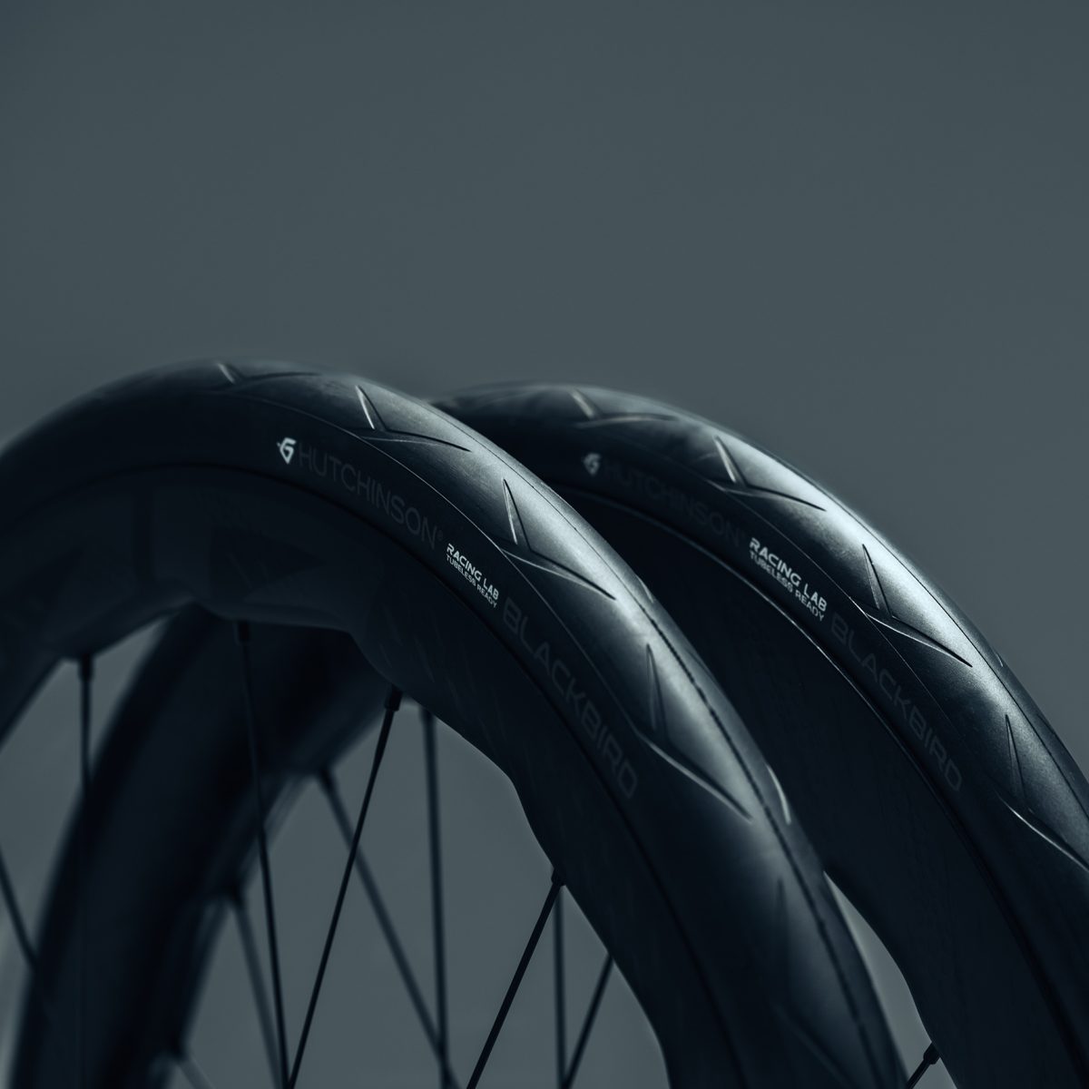 Discover the New Blackbird 32 & 34mm