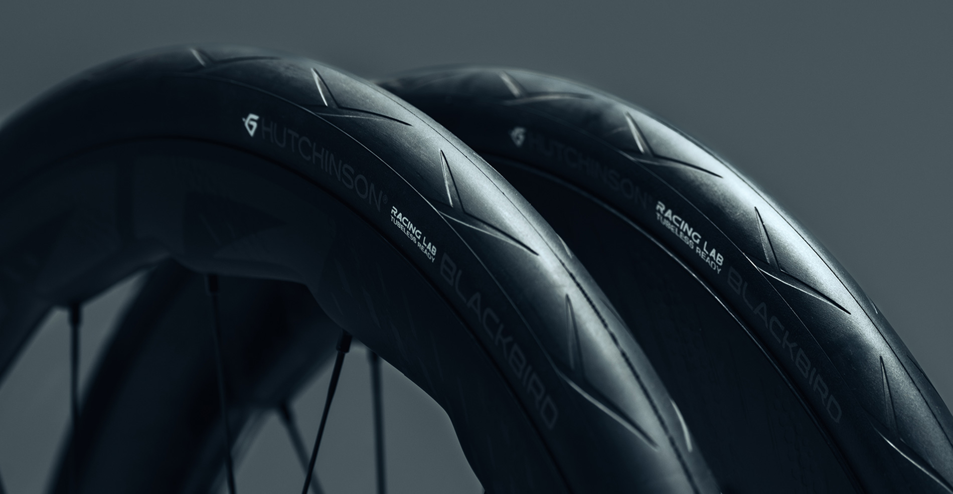 Discover the New Blackbird 32 & 34mm