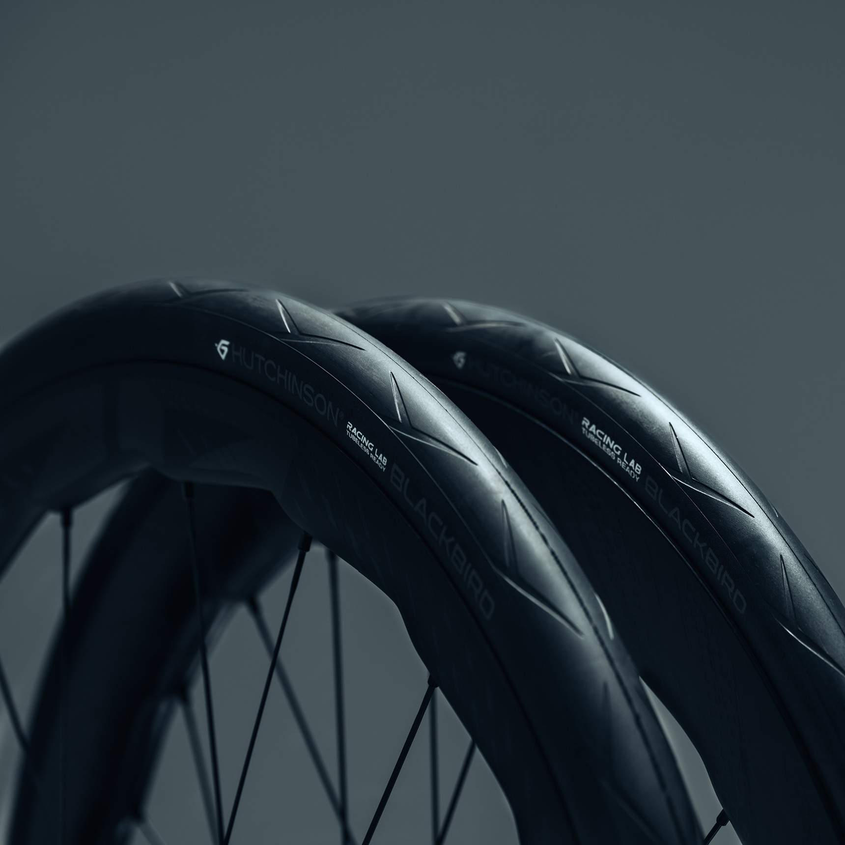 Discover the New Blackbird 32 & 34mm - Hutchinson Cycling